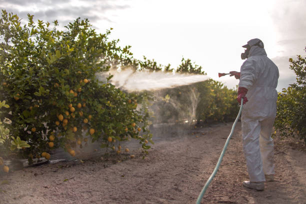 Best Wasp Removal Services  in Oakland, NJ