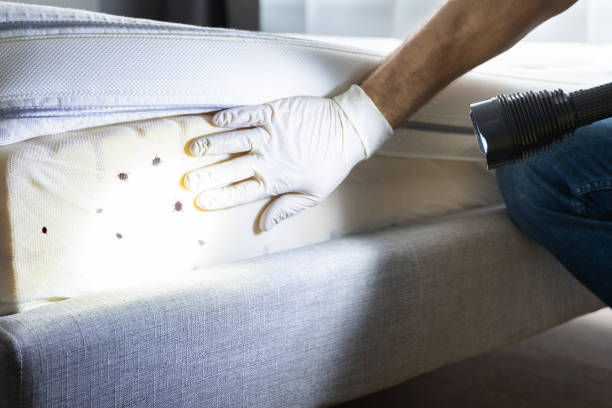 Best Commercial Pest Control Services  in Oakland, NJ