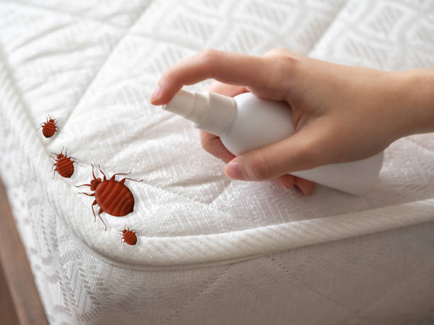 Best Mosquito Control Services  in Oakland, NJ
