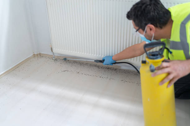 Best Cockroach Control Services  in Oakland, NJ