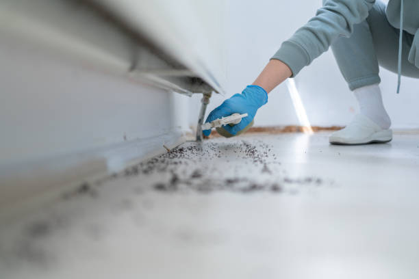 Best Wasp Removal Services  in Oakland, NJ